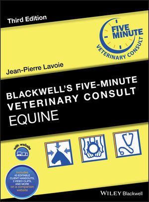 Equine Equine