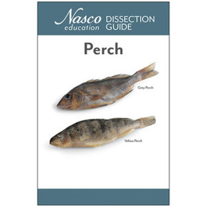Perch 12345 Perch 12345