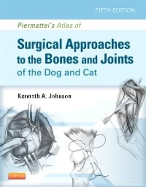 Surgical Surgical