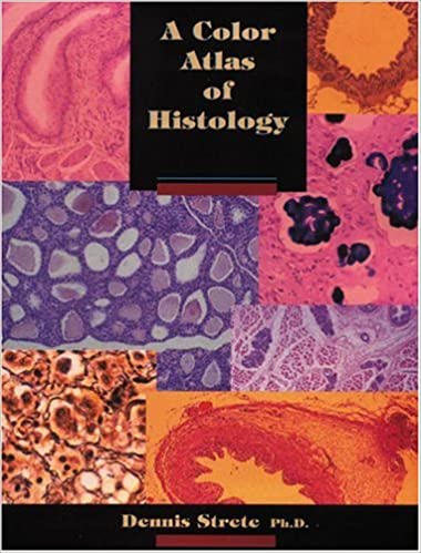 A Color Atlas Of Histology