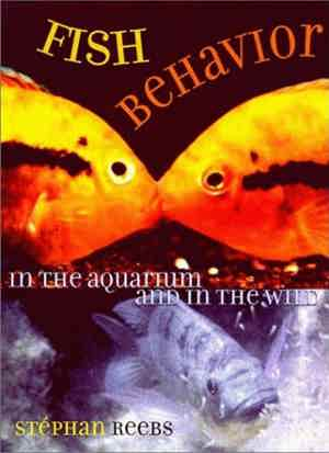 Fish Behavior In The Aquarium And In The Wild