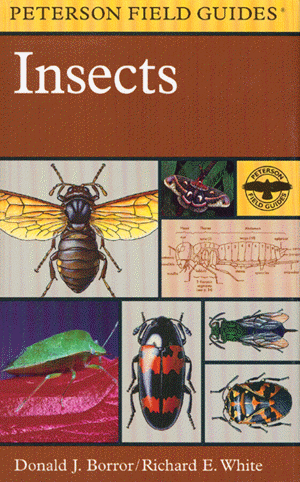 Peterson Field Guides of North America: Insects