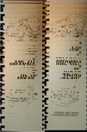 Key Guide To Mammal Skulls And Lower Jaws By Aryan I. Roest (Author)