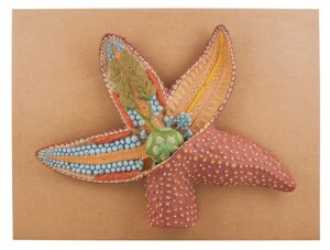 Model Star Fish L.S. Model Star Fish L.S.