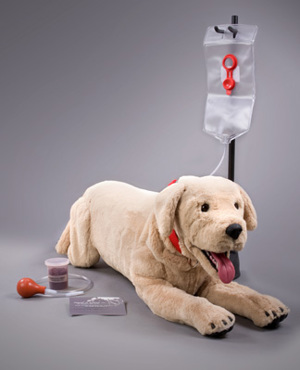 endotracheal tube veterinary