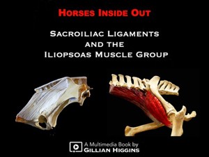 Horses Inside Out: Sacroiliac Ligaments and the Iliopsoas Muscle Group