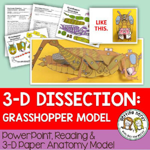 Grasshopper Paper Dissection Scienstructable 3D Dissection Model