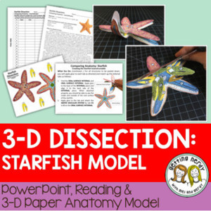 Starfish Paper Dissection Scienstructable 3D Dissection Model