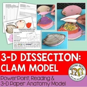 Clam Paper Dissection Scienstructable 3D Dissection Model