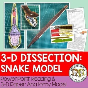 Snake Paper Dissection Scienstructable 3D Dissection Model