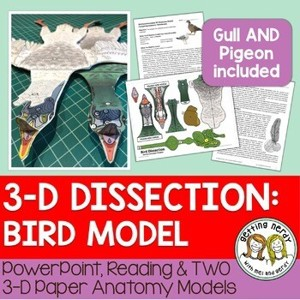 Bird Paper Dissection Scienstructable 3D Dissection Model