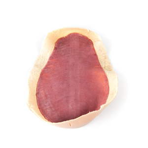 Canine Abdominal Skin Plate Canine Abdominal Skin Plate