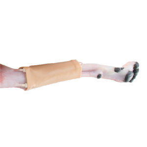 Canine Forelimb Skin Canine Forelimb Skin