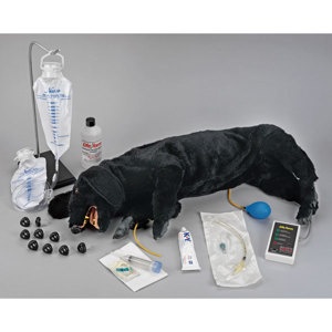 CPR Dog CPR Dog