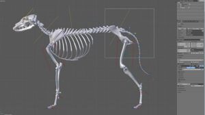 Low Poly 3D Model Low Poly 3D Model