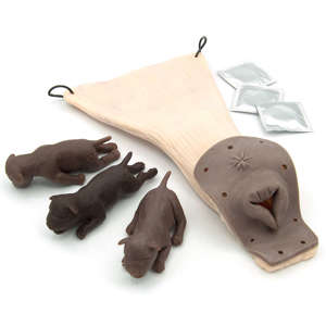 Birth Simulation Set