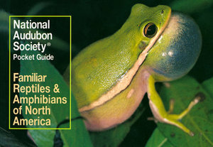 National Audubon Society Pocket Guide To Familiar Reptiles And Amphibians National Audubon Society Pocket Guide To Familiar Reptiles And Amphibians