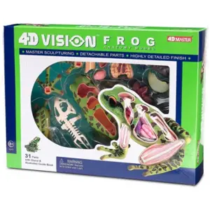 4D Vision Frog Model 4D Vision Frog Model