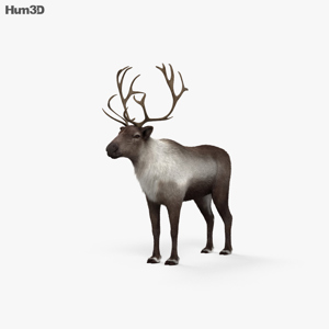 Reindeer 3D Model