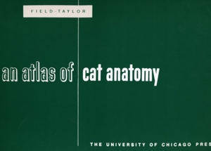 An Atlas Of Cat Anatomy