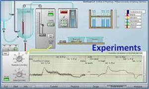 Virtual Physiology Simvessel