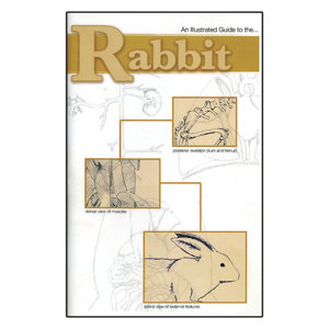 How To Hold a Rabbit (An Illustrated Guide)