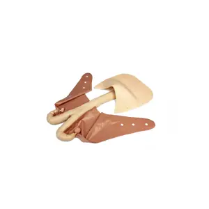 Smart Repro Cow Uterus Estrus (1)