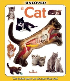 Uncover A Cat Book (1)