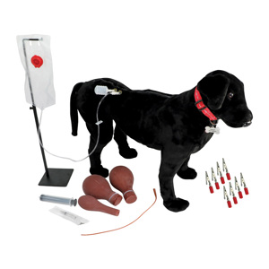 Canine Vet Trainer Canine Vet Trainer