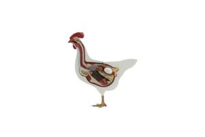 Hen : SIM MOD