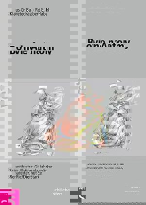 Bovine Anatomy An Illustrated Text