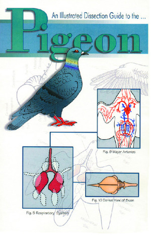 Illustrated Dissection Guides Pigeon Guide