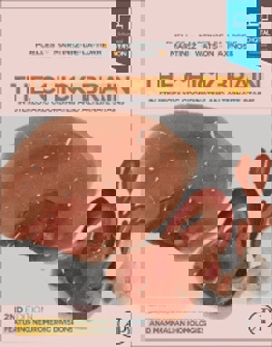 The Chick Brain In Stereotaxic Coordinates And Alternate Stains The Chick Brain In Stereotaxic Coordinates And Alternate Stains