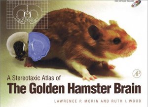 Stereotaxic Atlas Of The Golden Hamster Brain (Book With CD ROM)