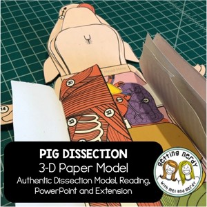 Fetal Pig Scienstructable 3D Dissection Model