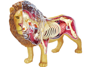 4D Vision Animal Lion 4D Vision Animal Lion