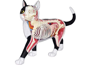 4D Vision Animal Cat (Black & White) 4D Vision Animal Cat (Black & White)