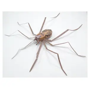Origami Organelles Giant House Spider Origami Organelles Giant House Spider