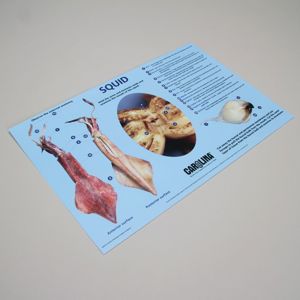 Carolina® Squid Dissection Mat