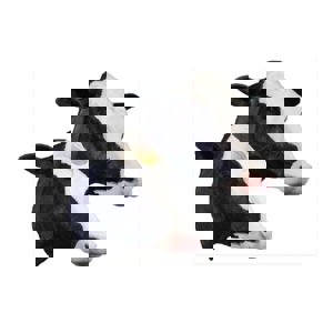 Long Face Bovine (Holstein) Penetrating Captive Bolt (1) Long Face Bovine (Holstein) Penetrating Captive Bolt (1)