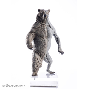 Grizzly Bear Anatomical Figure 1 12 Scale