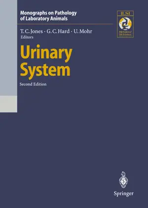 Monographs On Pathology Of Laboratory Animals Urinary System By Jones, T.C.; Hard, G.C. & Mohr, U.