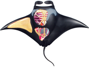 4D Vision Animal Manta Ray 4D Vision Animal Manta Ray