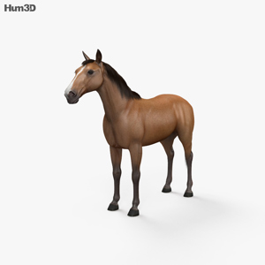 Horse 3D Model