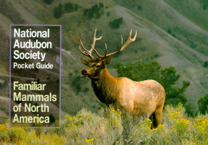 National Audubon Society Pocket Guide To Familiar Mammals National Audubon Society Pocket Guide To Familiar Mammals