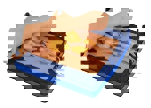 Dog Castration Simulator