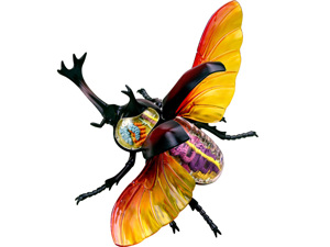 4D Vision Animal Rhinoceros Beetle 4D Vision Animal Rhinoceros Beetle