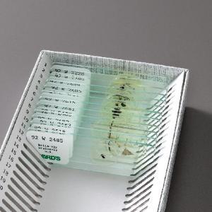 Insect Anatomy Slide Set Insect Anatomy Slide Set