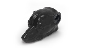 Dog Head Phantom For CT And X Ray