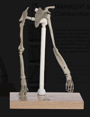 MANIKEN® & CANIKEN® Comparative Pectoral Model